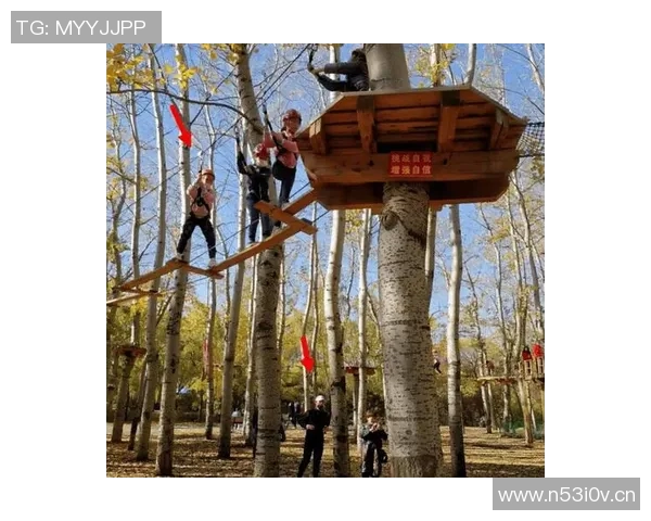 深圳极限运动队荣登灵活性排行榜第三名引发关注与讨论